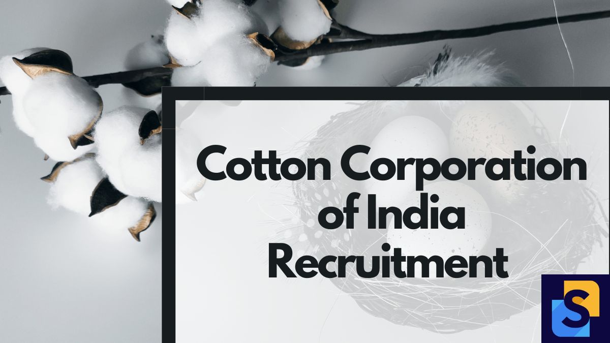 CCI Recruitment